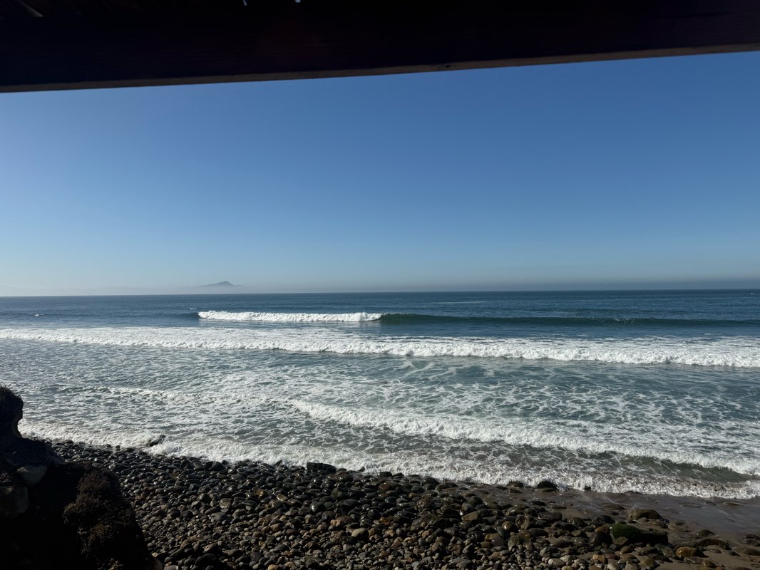 walking near me in Plaza Juventud 2000 in spring