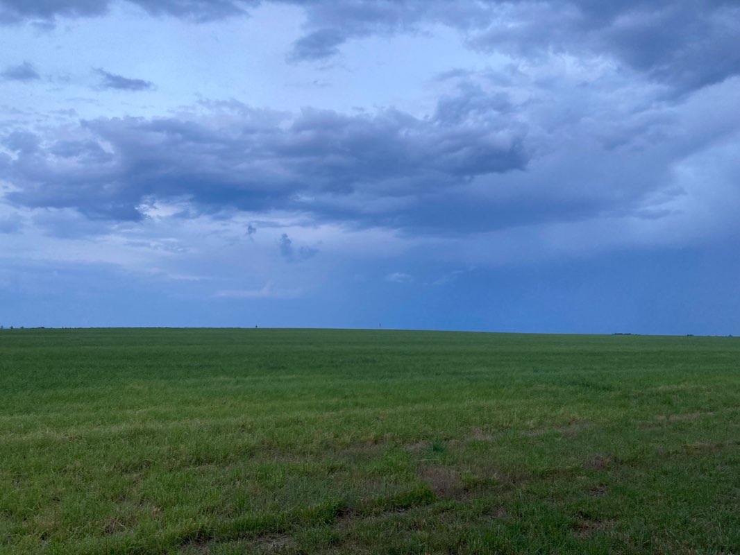 walking near me in Южный парк in winter
