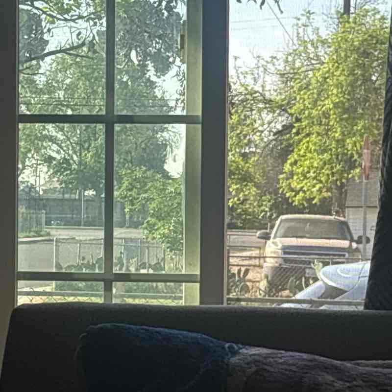 nunezdaniel423 post 1