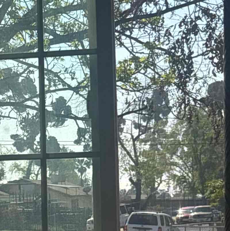 nunezdaniel423 post 1