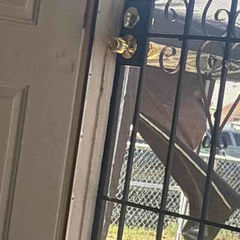 nunezdaniel423 post 1