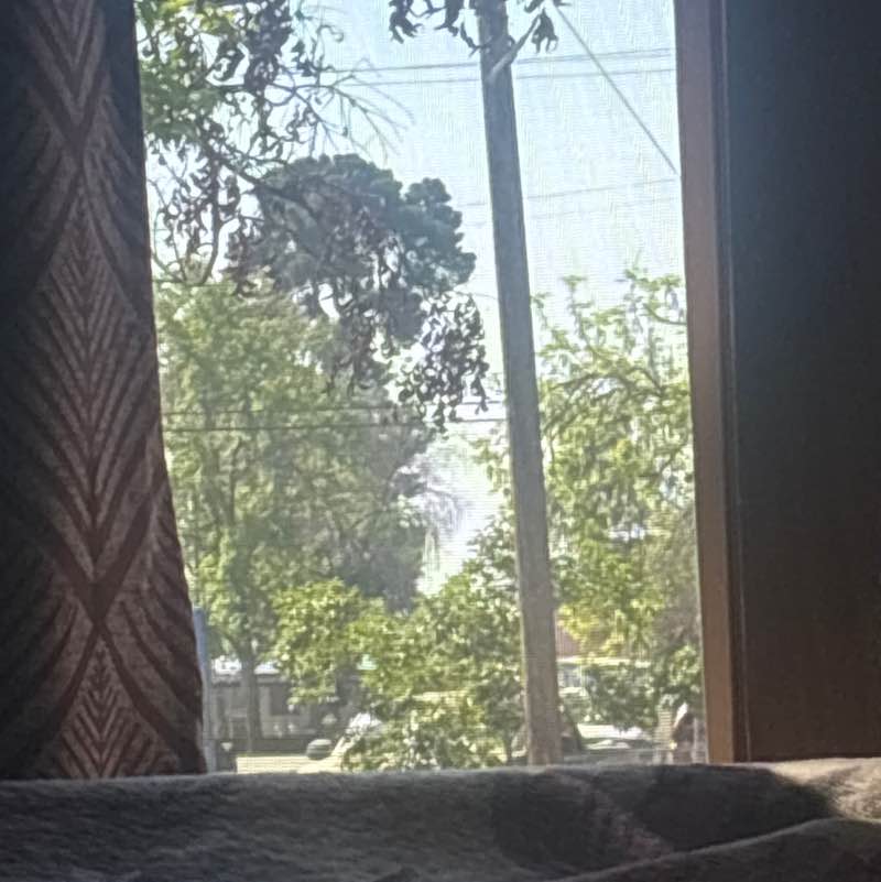 nunezdaniel423 post 1