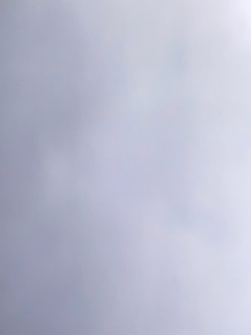 walking near me in Smith Park in winter