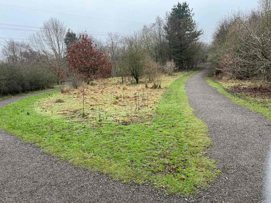 walking near me in Sunnybank Woodland Park in winter