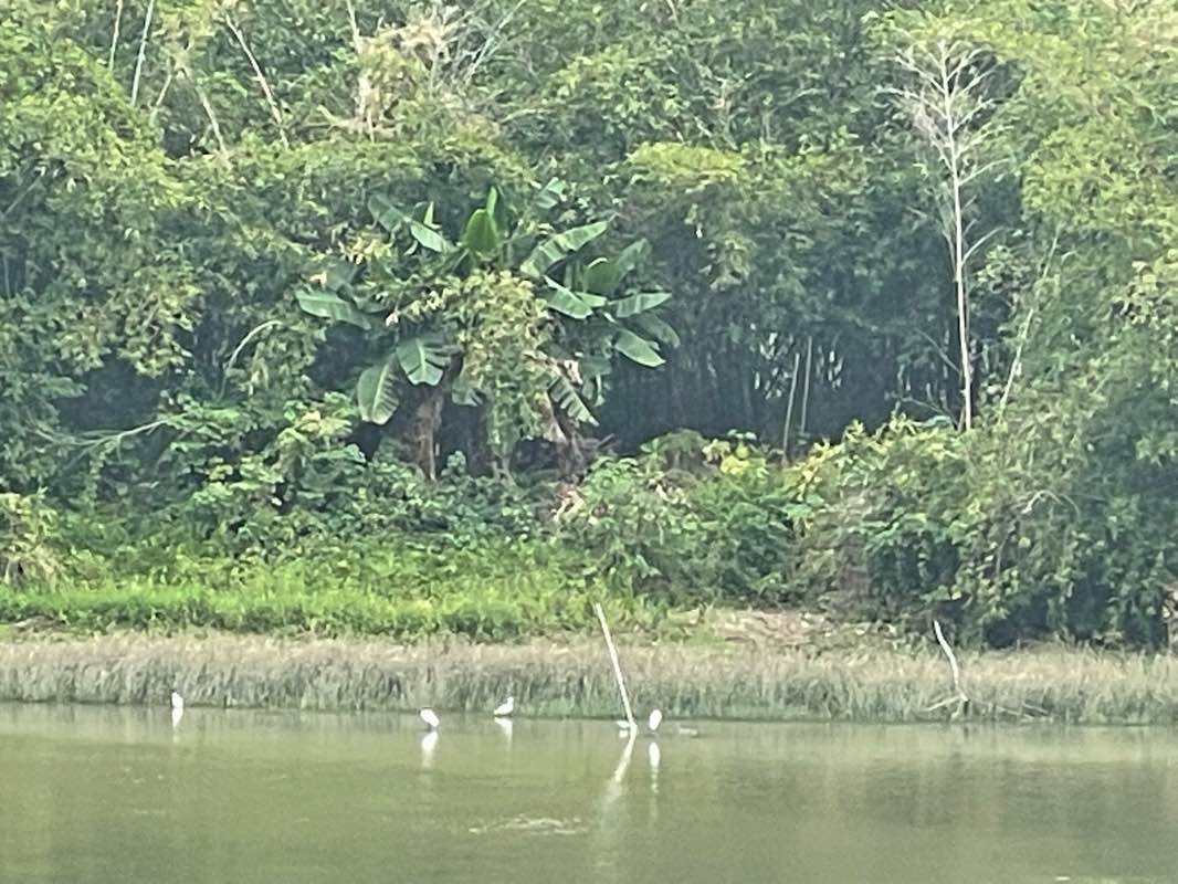 walking near me in 滨江湿地公园 in winter