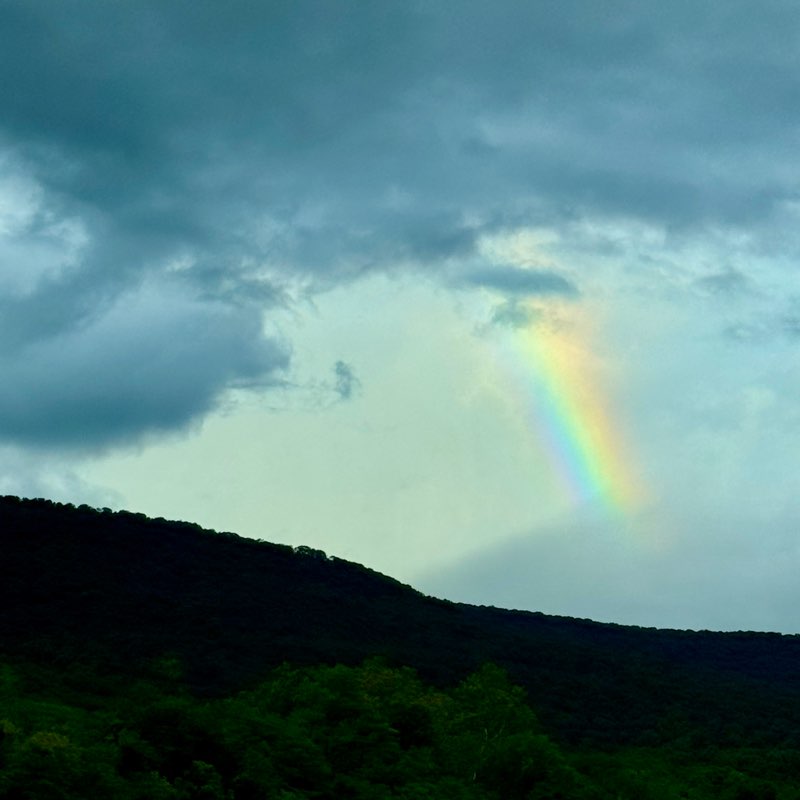 Andrea ⚾️⚽️🐶🇺🇸🎄 post 3
