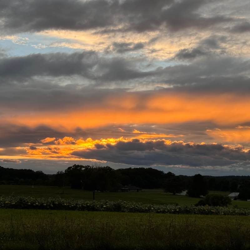 Andrea ⚾️⚽️🐶🇺🇸🎄 post 2