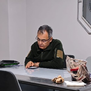 Doğan