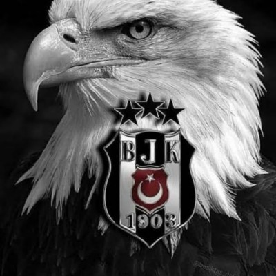 Doğan post 1