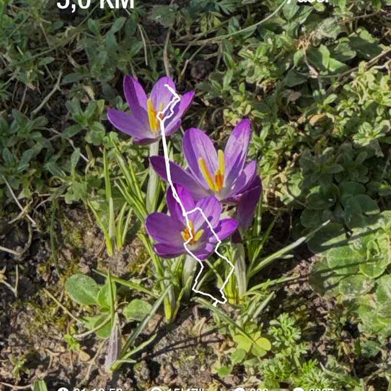 🇫🇷 CarOlympe 🇫🇷 post 1