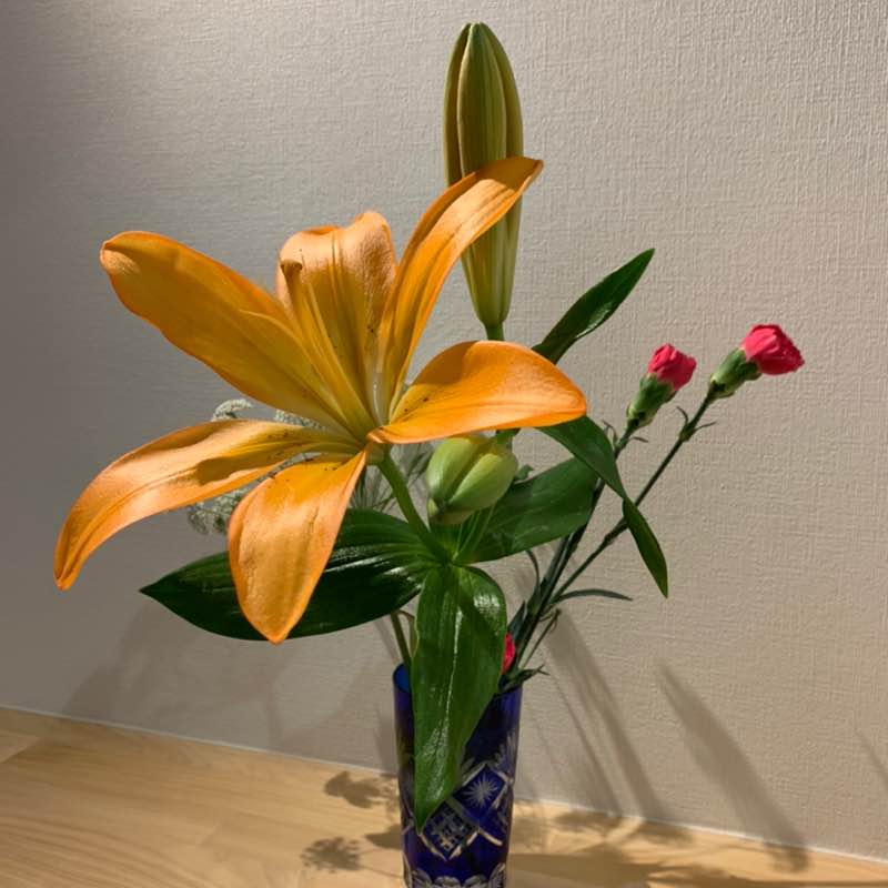 JIYUGAOKA Tailor🌈TK✨♫ post 3