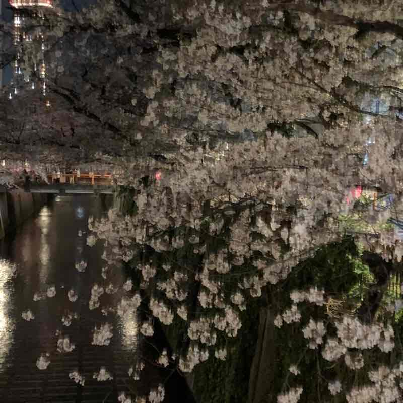 JIYUGAOKA Tailor🌈TK✨♫ post 2