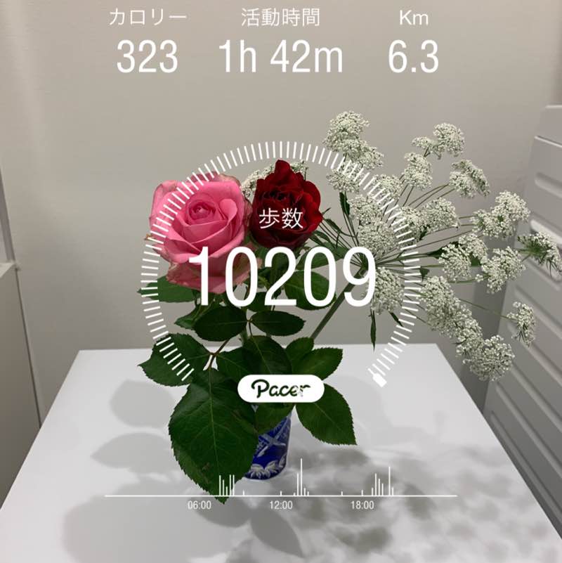 JIYUGAOKA Tailor🌈TK✨♫ post 1