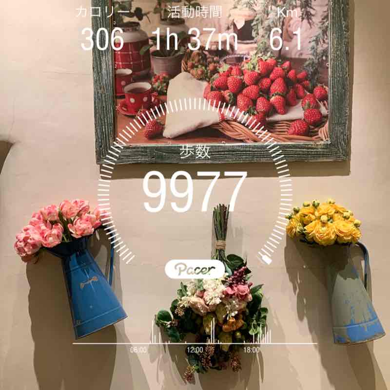 JIYUGAOKA Tailor🌈TK✨♫ post 1