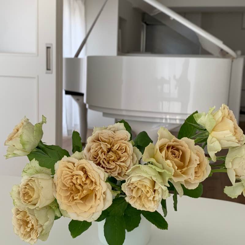 JIYUGAOKA Tailor🌈TK✨♫ post 2