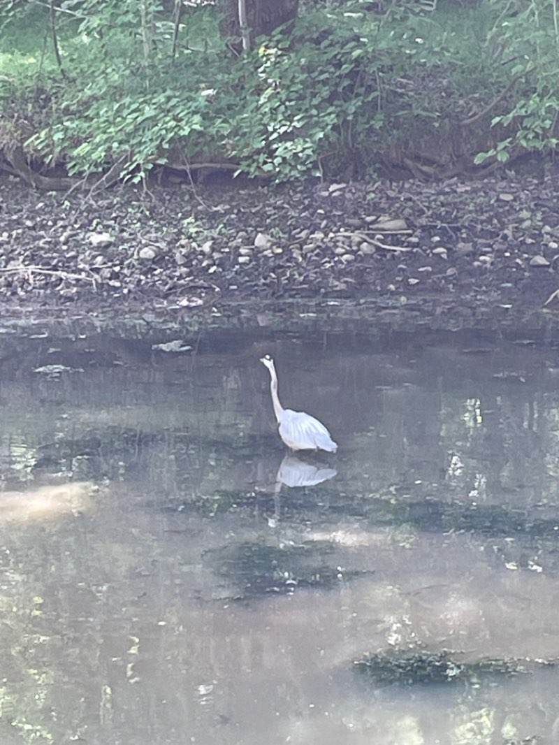 walking near me in Lock 21 “Swains” Campground in winter