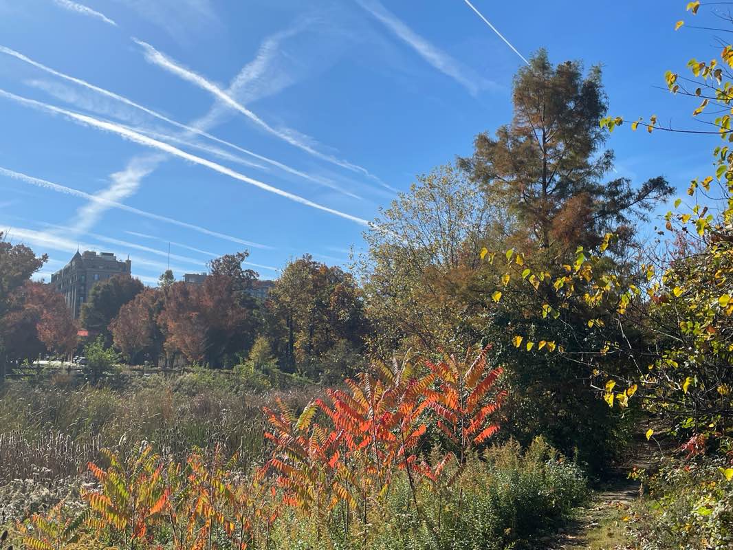 walking near me in South Lawn in winter