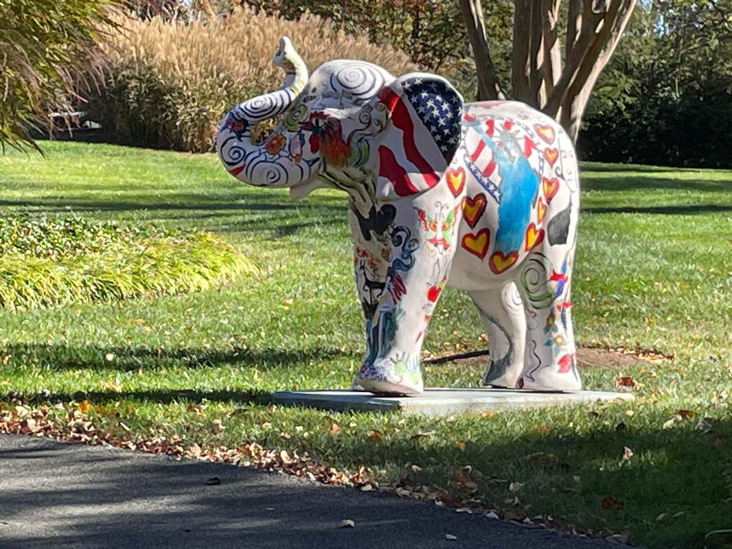 walking near me in Bethesda Elementary Park in winter