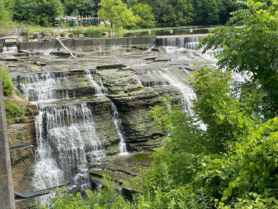 walking near me in Cornell Botanic Gardens in autumn
