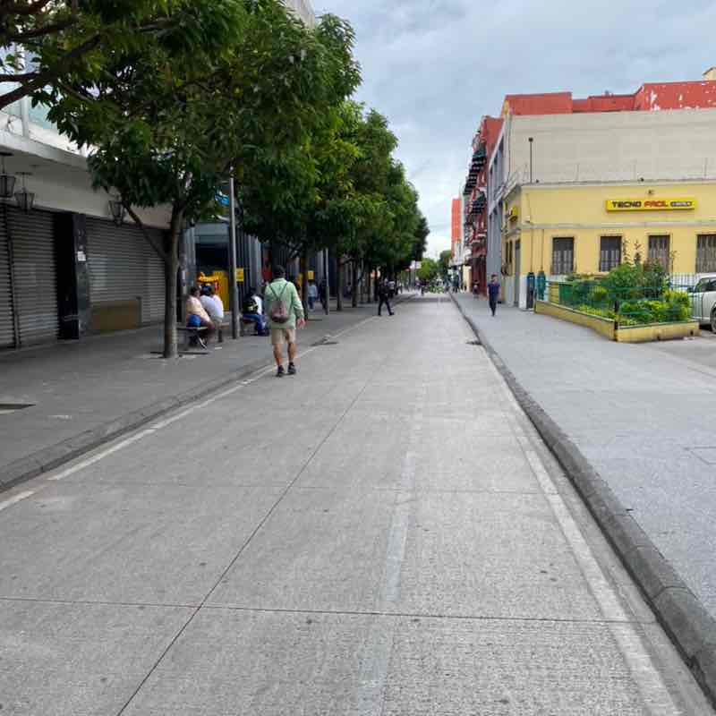 Miguel de León post 2