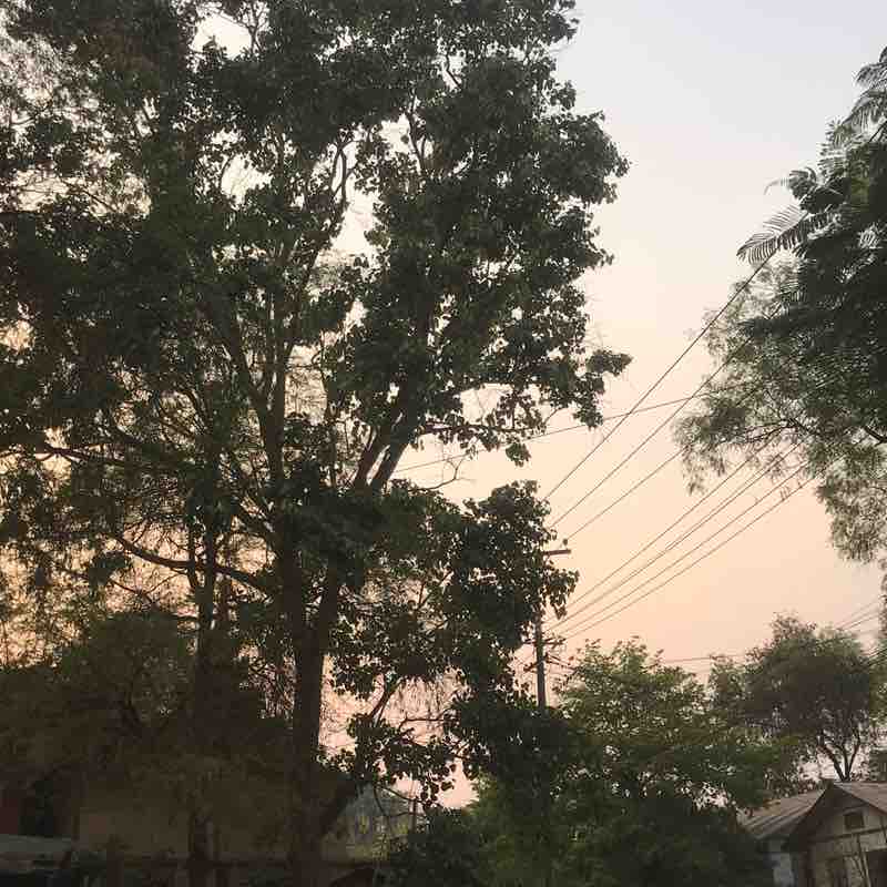 Yadanar Kyi Soe post 2