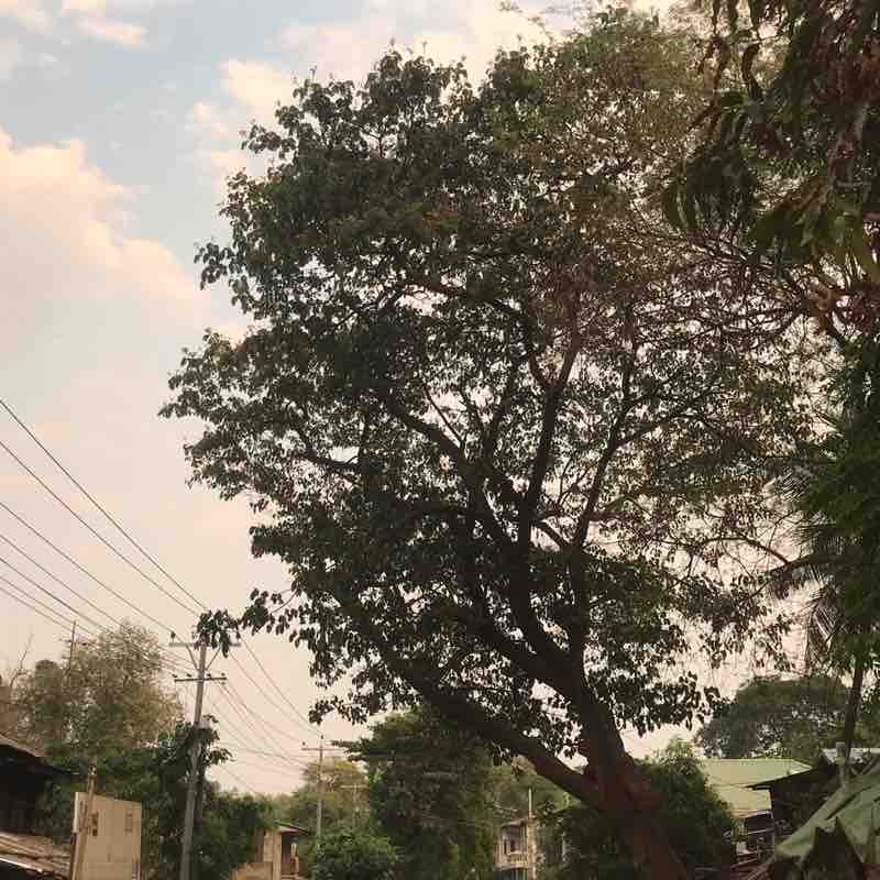 Yadanar Kyi Soe post 1