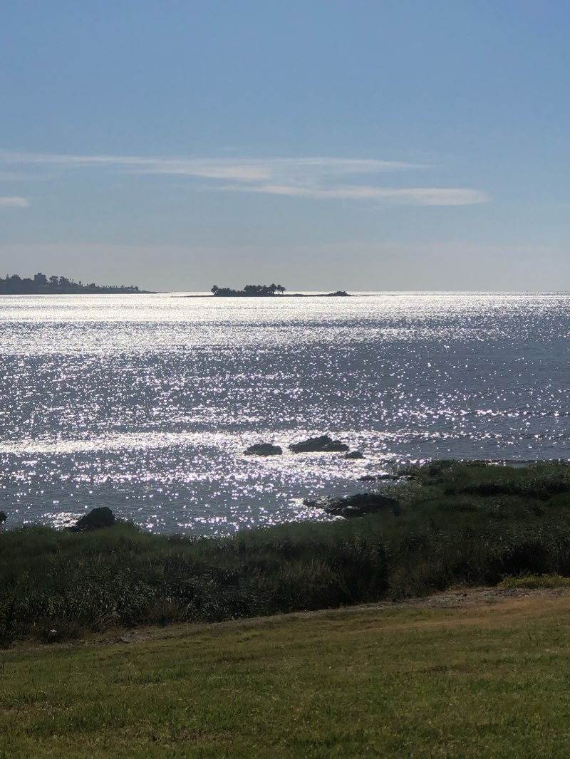 walking near me in Espacio Libre Del Arma De Ingenieros in summer