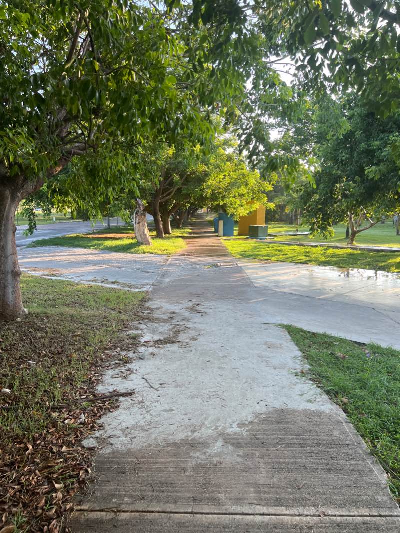 walking near me in Parque del Puente in winter