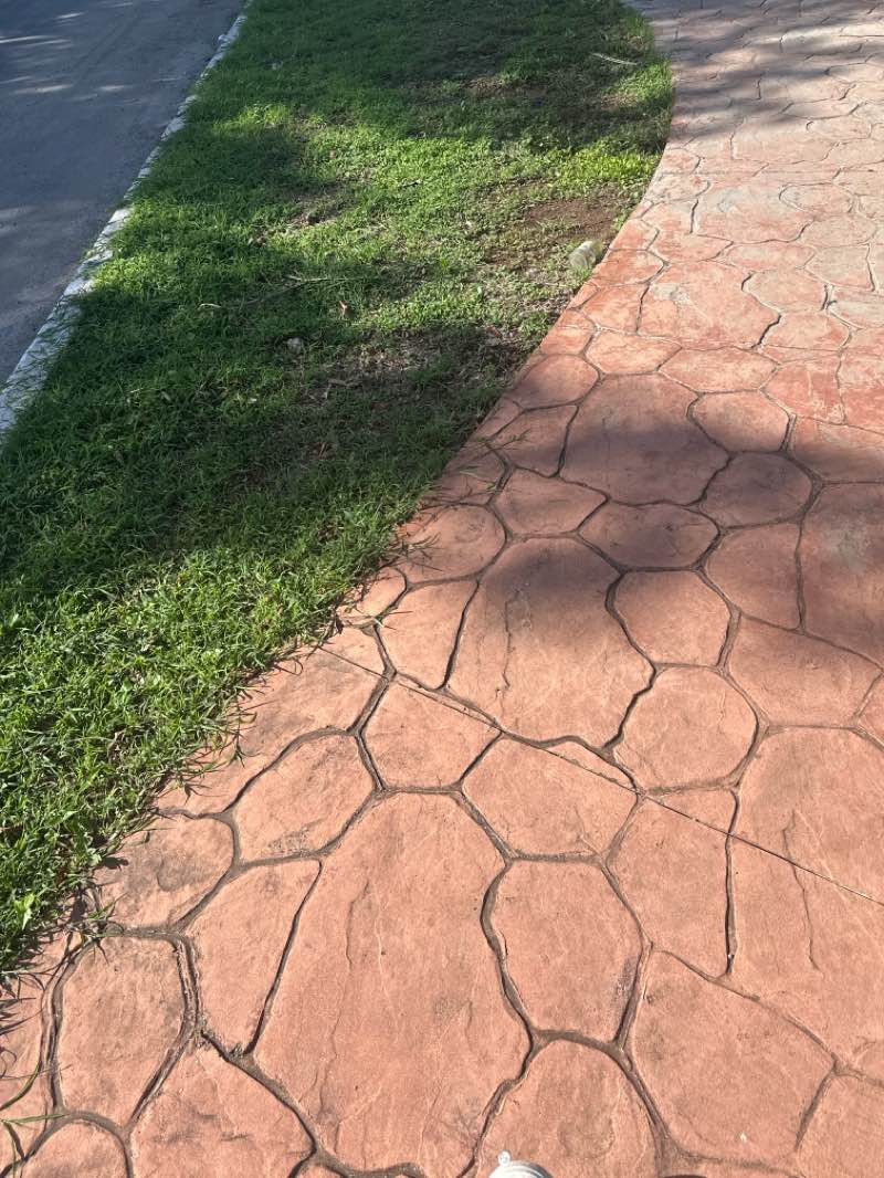 walking near me in Parque Sablonké in summer