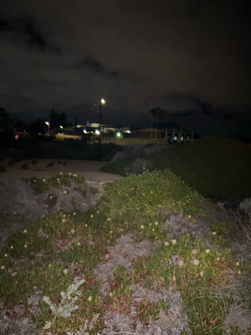 walking near me in Wardandi Memorial Park in spring