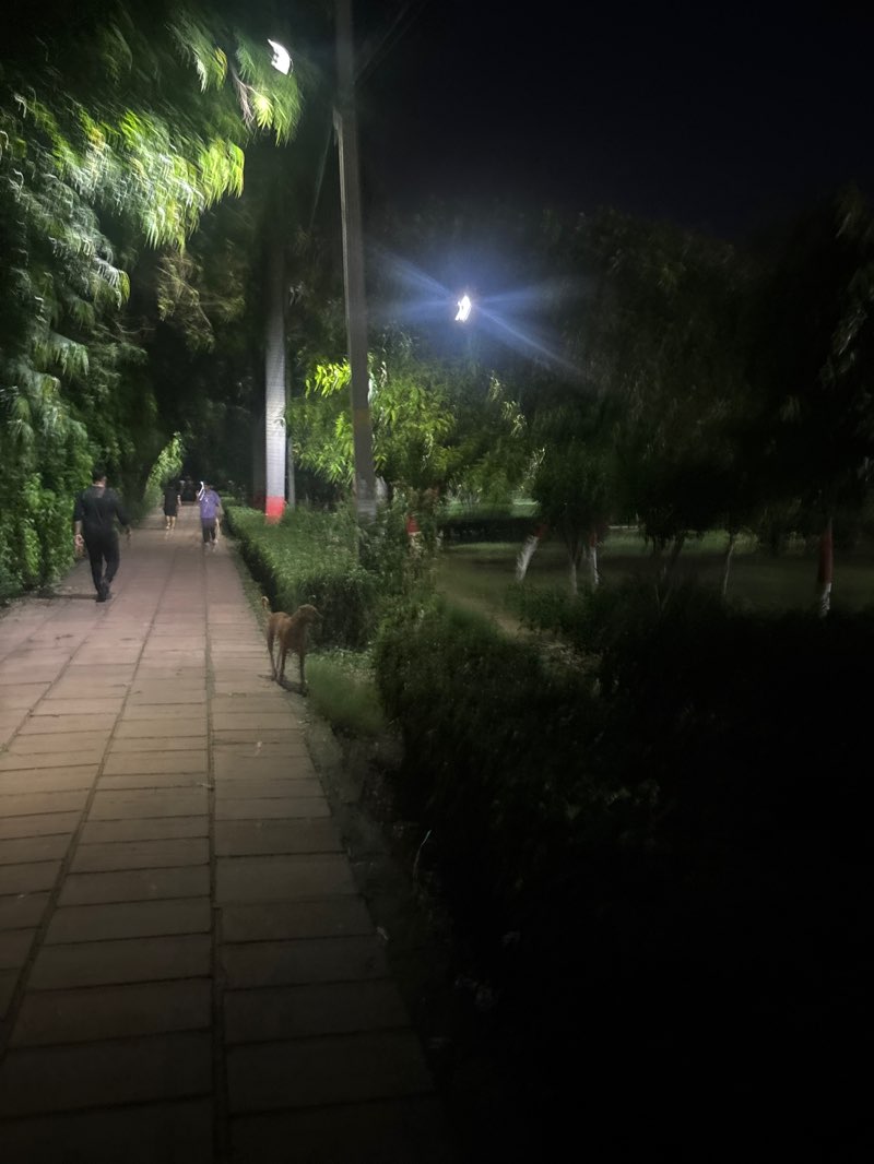 walking near me in Shalimar Garden in autumn