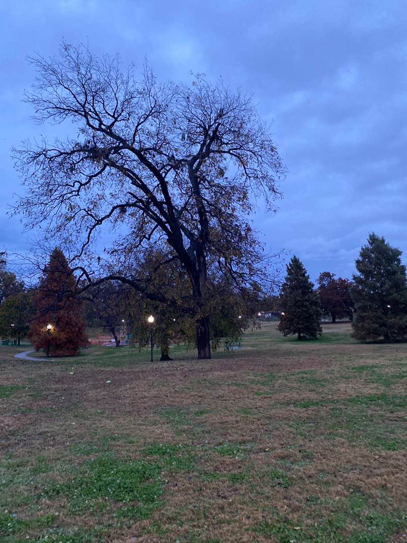 walking near me in Turner Park in autumn