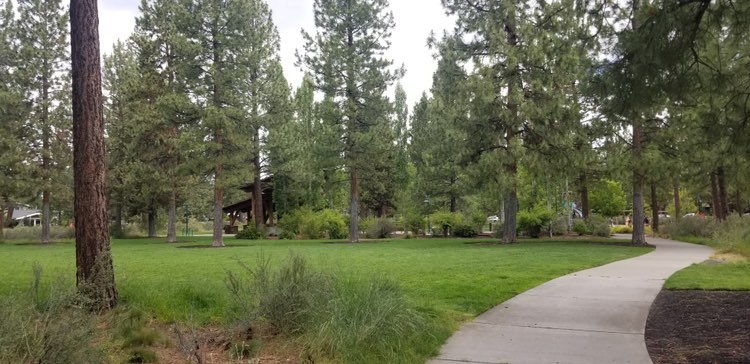 walking near me in Compass Park in autumn