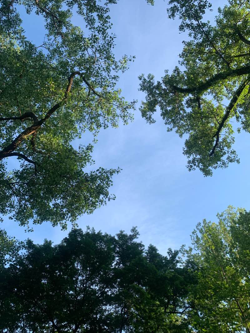 walking near me in The Gathering Place in winter