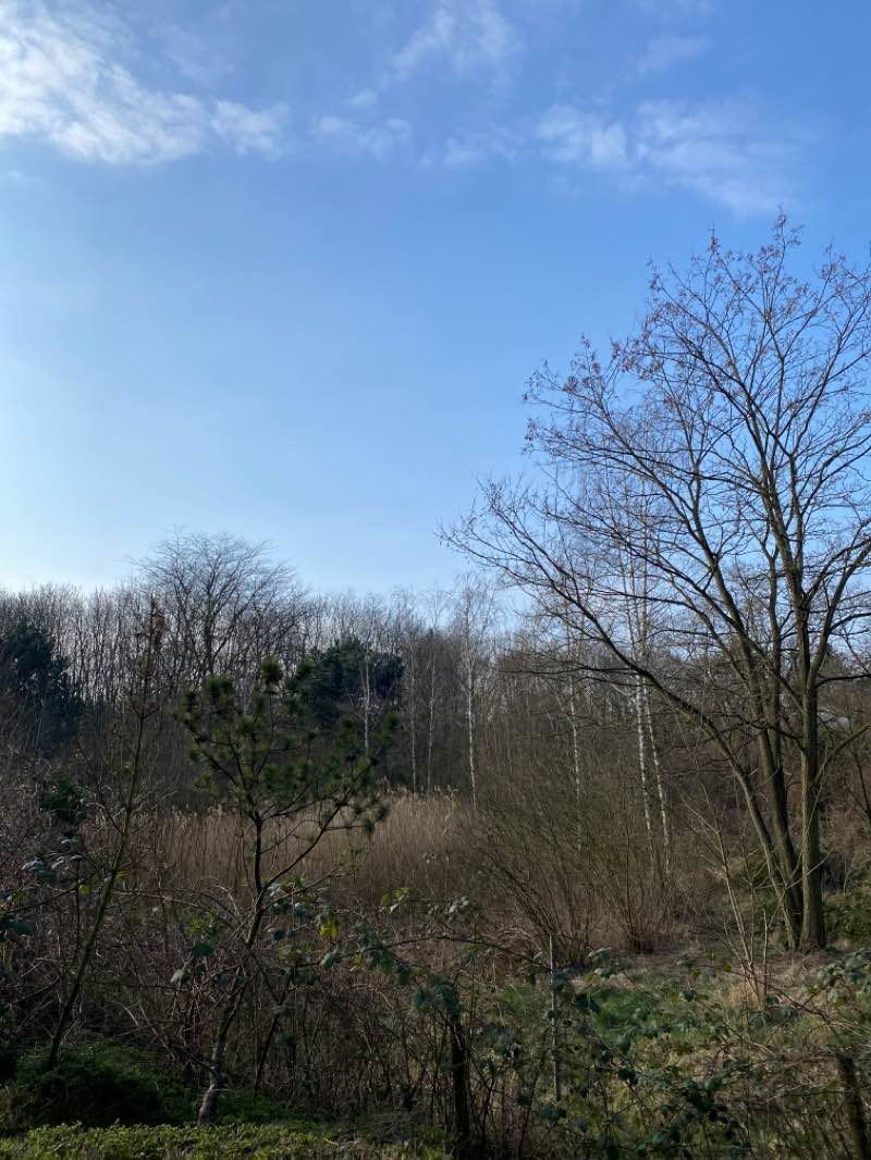 walking near me in Mattlerbusch in winter