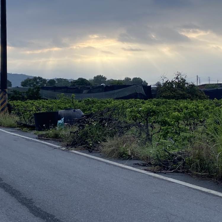 悟杰  .蕨鹿享騎. post 2