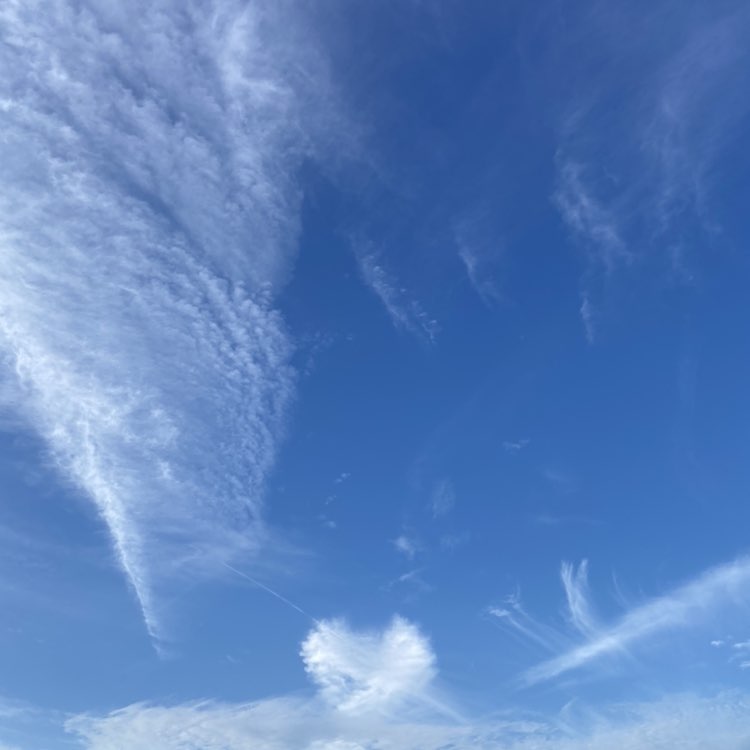 悟杰  .蕨鹿享騎. post 3