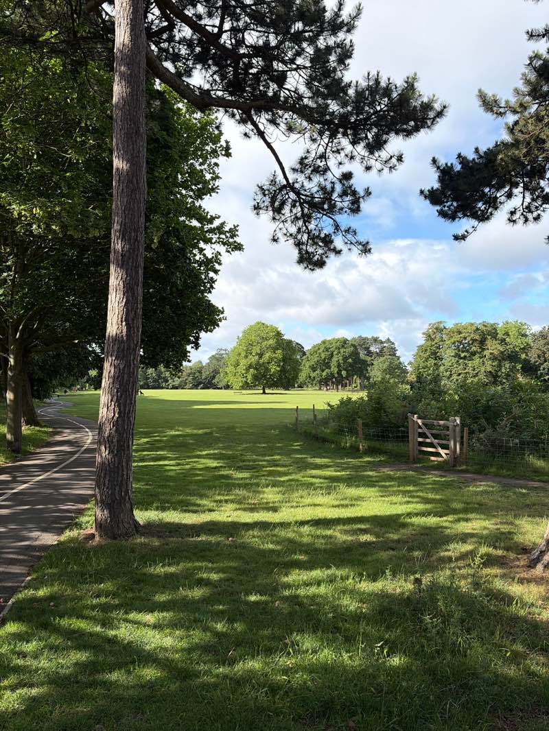 walking near me in Cator Park in summer