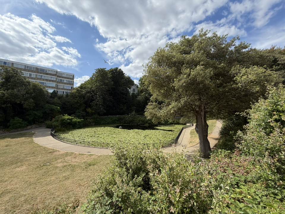 walking near me in St. Leonards Gardens in summer
