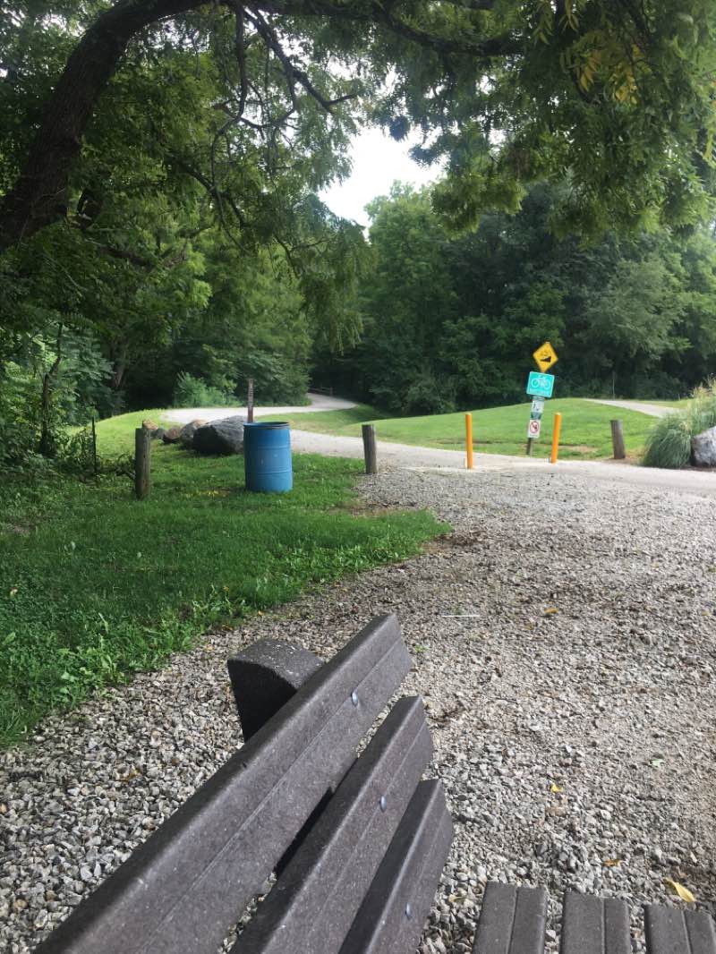 walking near me in Forest Park in winter