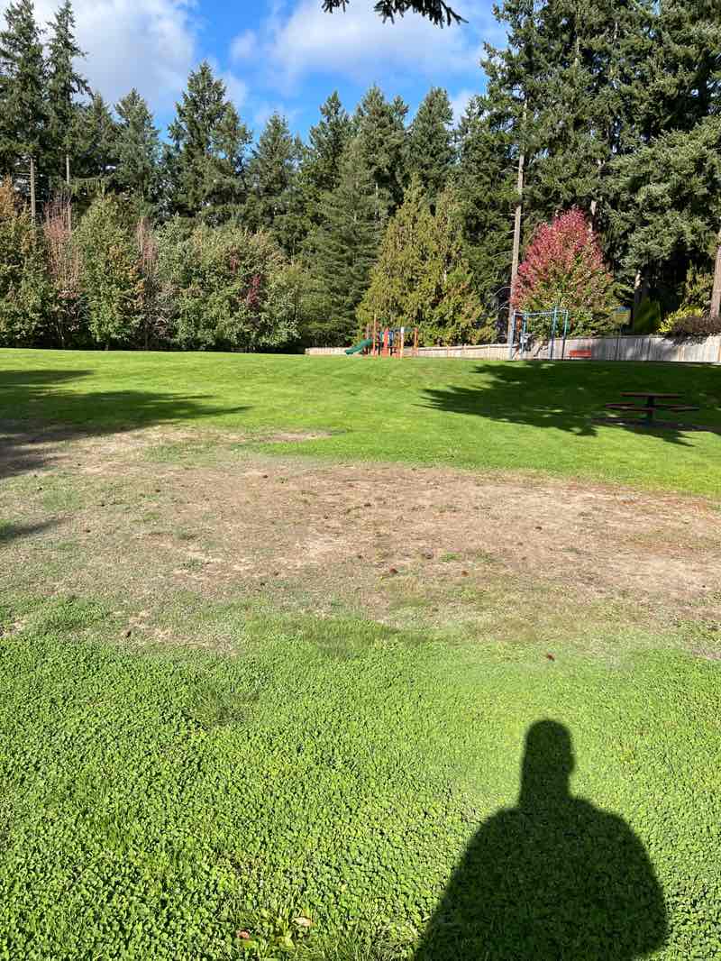 walking near me in Britney Park in autumn