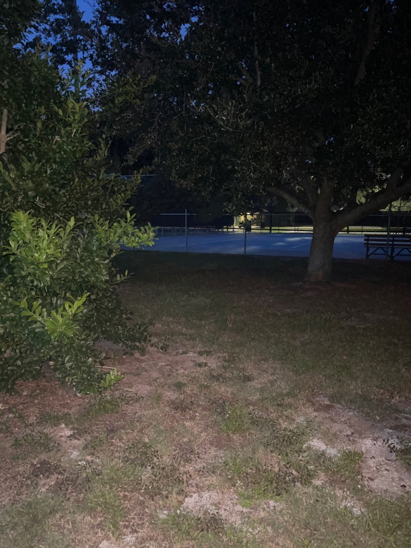 walking near me in Ron Parker Park in summer