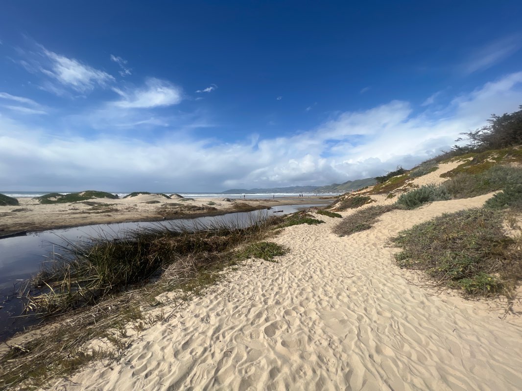 walking near me in Pismo park in winter