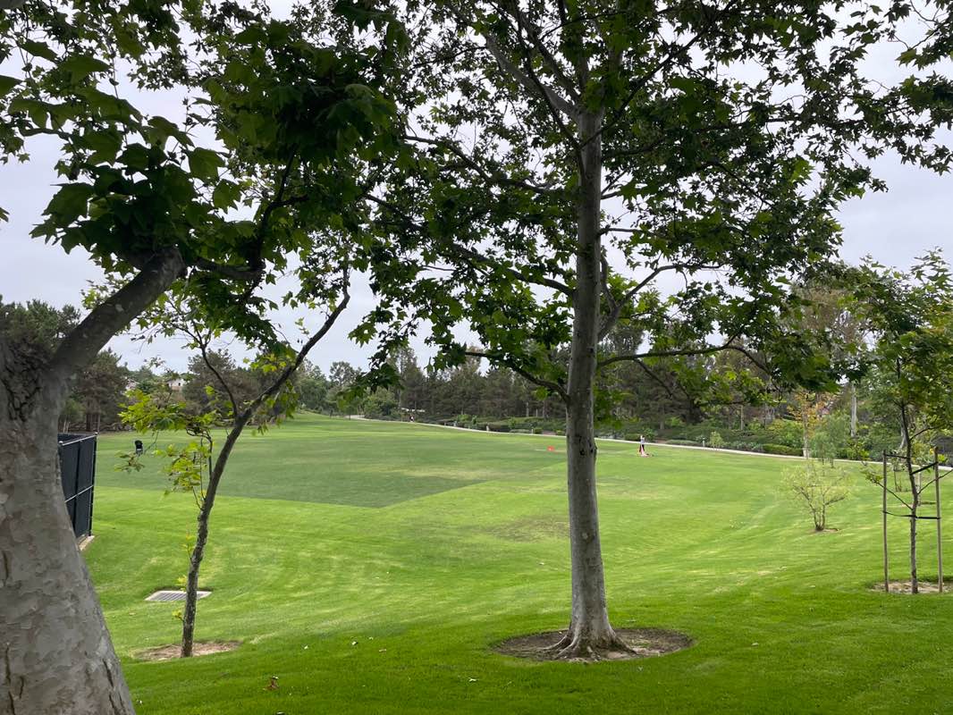walking near me in Bonita Canyon Sports Park West in autumn
