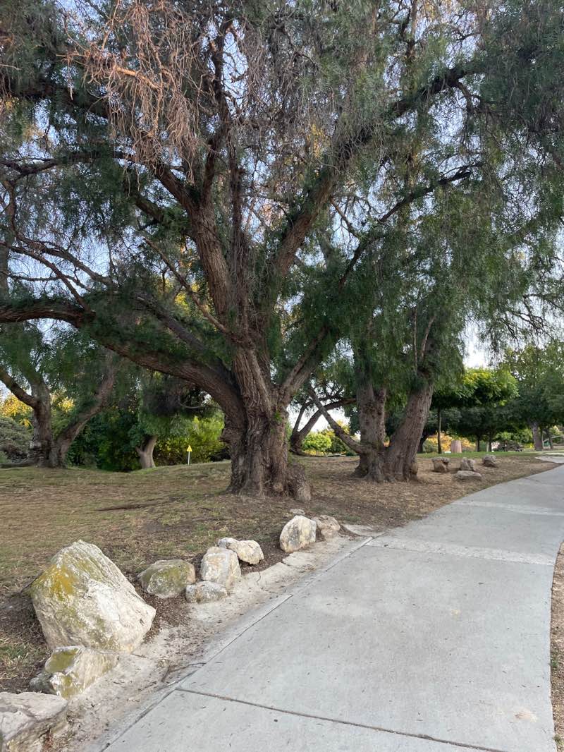 walking near me in Eastview Park in summer