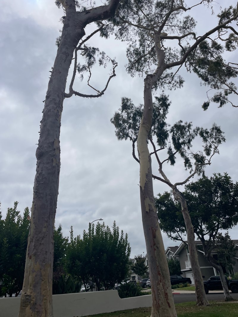 walking near me in Buffalo Hills Park in autumn