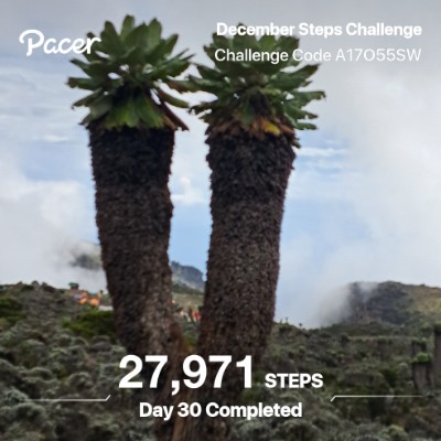 Mount Kilimanjaro Guide Godwin post 1