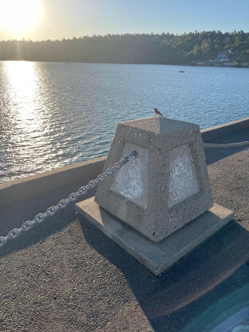 walking near me in Lake Oroville State Recreational Area in winter