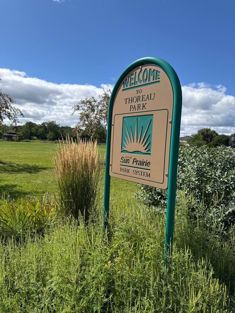 walking near me in Thoreau Park in autumn