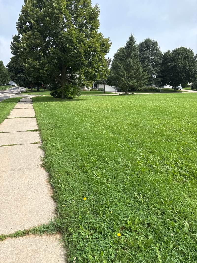 walking near me in Hunter's Ridge Park in autumn
